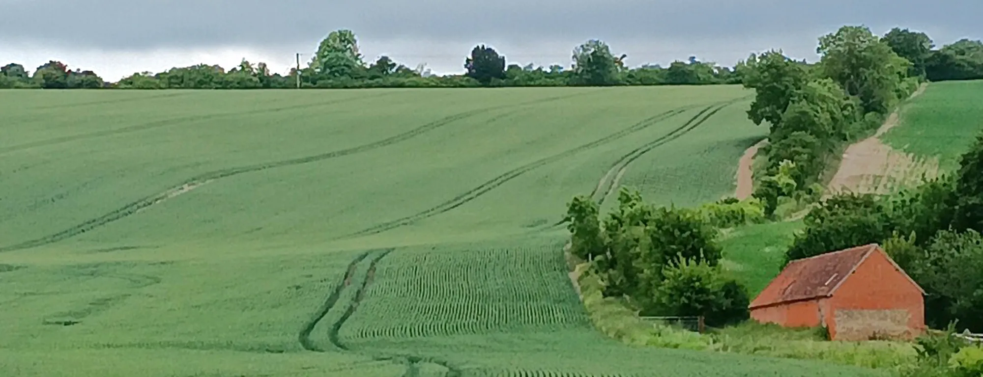 Contact Lucy Sumerscales