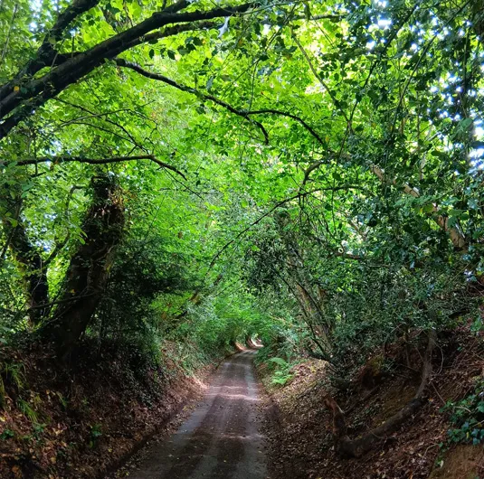 Lucy Sumerscales in a counselling session