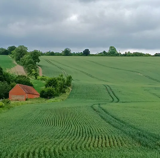 Lucy Sumerscales in a counselling session